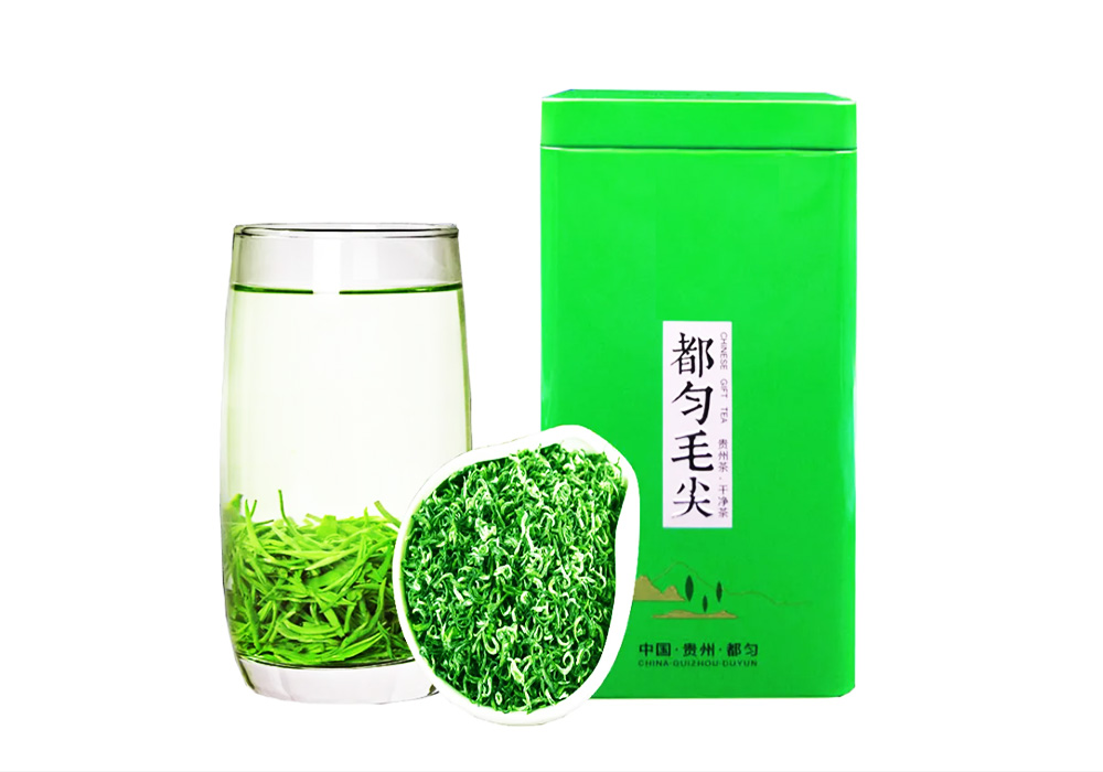 都匀毛尖